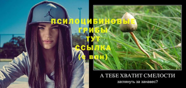 кокс Абаза