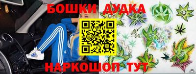PSILOCYBIN Новодвинск