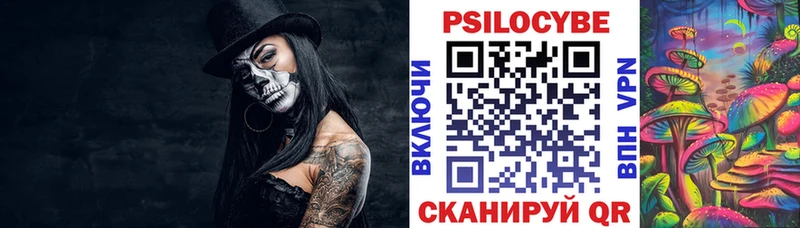 продажа наркотиков  Тверь  Галлюциногенные грибы Psilocybe 