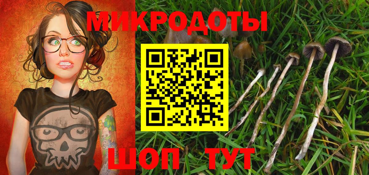 Тверь  Псилоцибиновые грибы Cubensis  Вход с VPN 