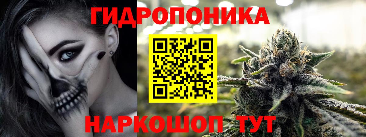 Тверь  Шишки марихуана ГИДРОПОН  Вход с VPN  Шишки марихуана VHQ 